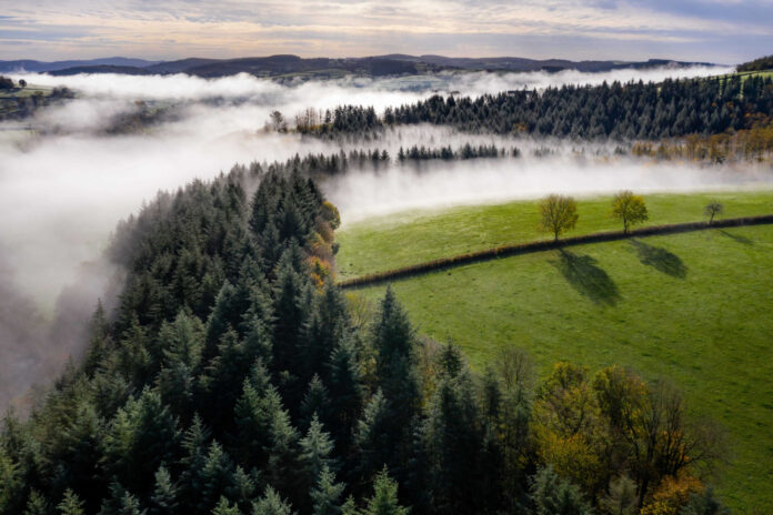 Bodenxt Speeding up Sweden's green transition by radically changing communities Bodenxt