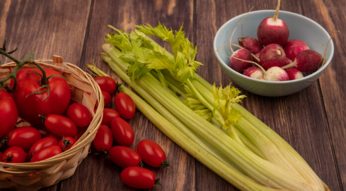 Pravi Celer: What Is He? Advantages, Nutrition, and Simple Eating Methods Pravi Celer