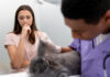 When Cat Vomiting Goes From Normal to a Warning Sign Vomiting