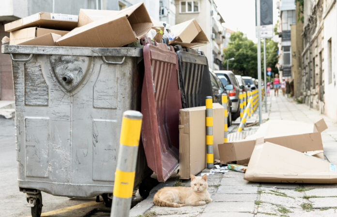7 Best Skip Hire Providers in London 2026