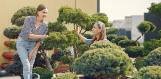 The Ultimate Guide to Safe and Effective Large Tree Management on Residential Properties Tree Management