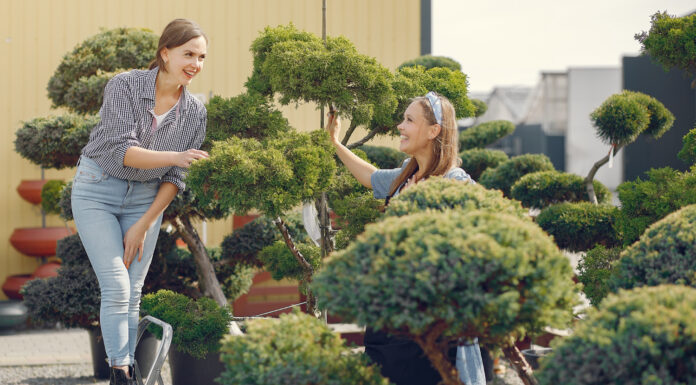 The Ultimate Guide to Safe and Effective Large Tree Management on Residential Properties Tree Management