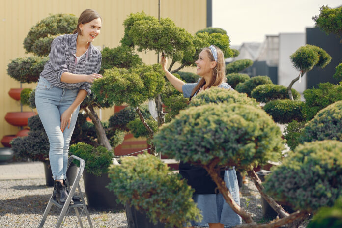 The Ultimate Guide to Safe and Effective Large Tree Management on Residential Properties Tree Management