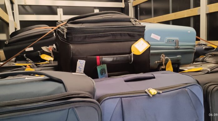 Student Removals Service: Planning a Move to Belgium Student Removals Service