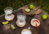Tasting Notes: A Comparison of Blanco and Reposado Tequila’s Flavor Profiles Blanco